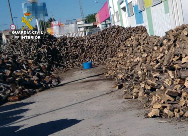 La Guardia Civil esclarece la tala ilegal de 260 olivos centenarios en Cieza