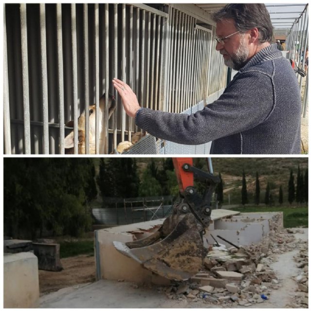 Saorín: 'Ya está en marcha la reconstrucción de las instalaciones de recogida de animales abandonados'