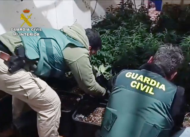 La Guardia Civil desmantela un invernadero con 200 plantas de marihuana en una céntrica vivienda de Cieza