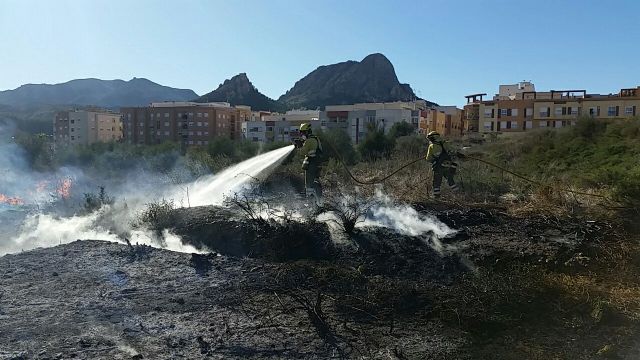 Incendio de vegetación junto al casco urbano