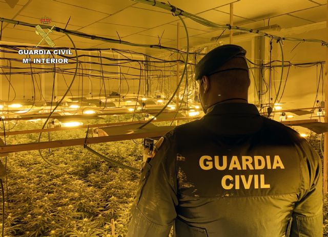 La Guardia Civil desmantela una importante plantación de marihuana en una nave industrial de Cieza