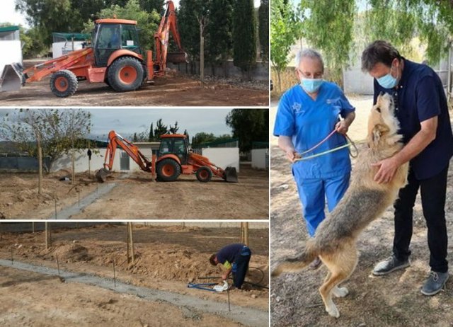 Saorín: 'En el centro de acogida de animales se están realizando mejoras por importe de 23.000 euros'