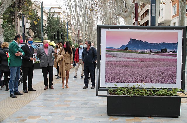 Una exposición sobre la floración en Cieza que aúna calidad fotográfica y excelencias paisajísticas